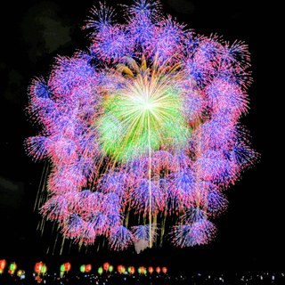 黄金すだれに新華の息吹